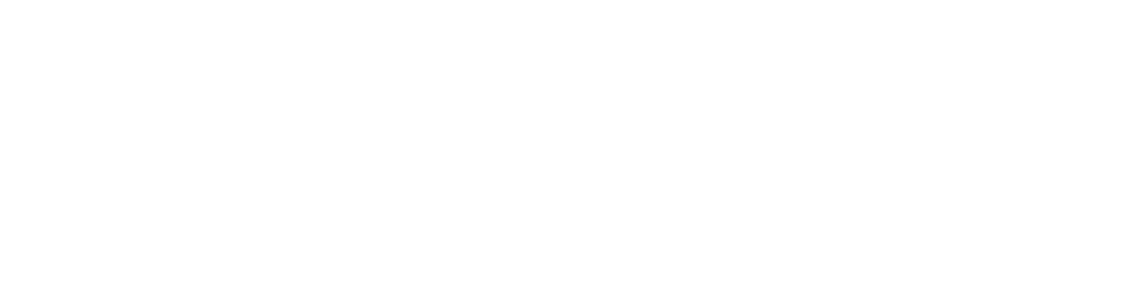 Logo Palatine blanc